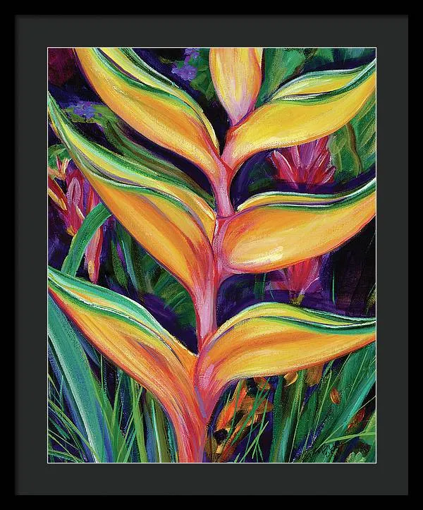 "Heliconia"  Tropical Flower - Framed Print