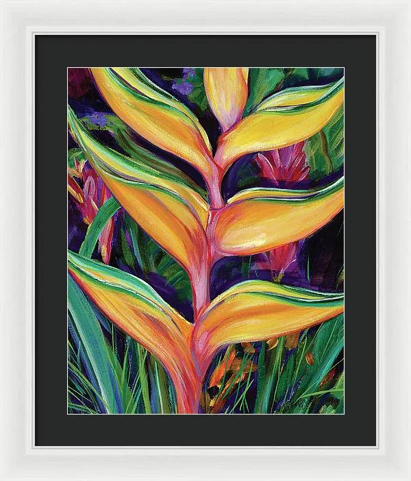 "Heliconia"  Tropical Flower - Framed Print
