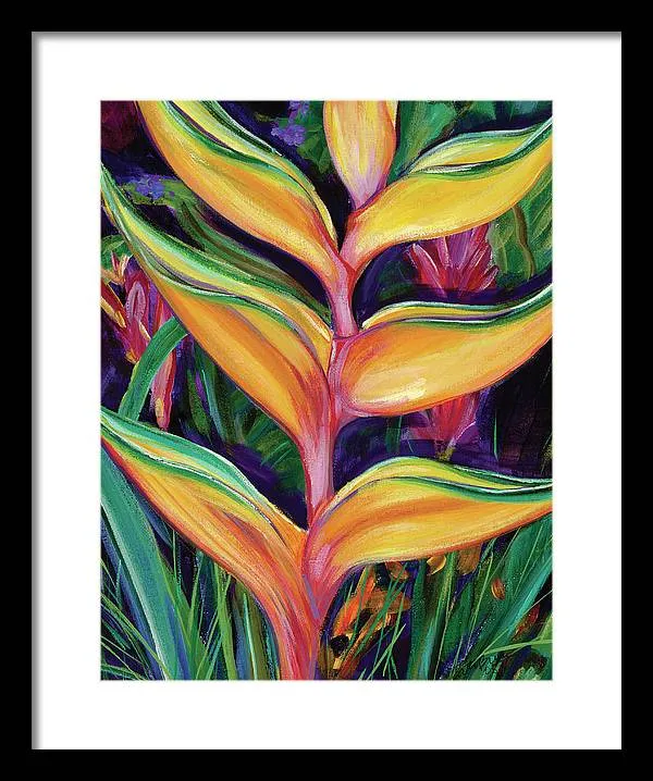 "Heliconia"  Tropical Flower - Framed Print