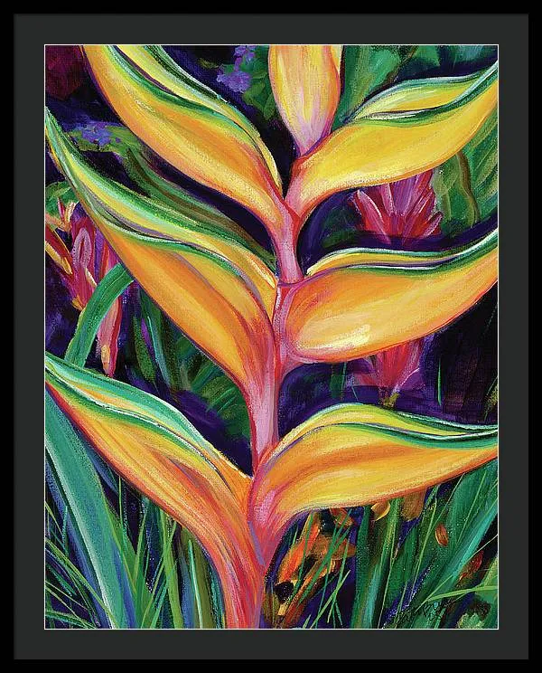 "Heliconia"  Tropical Flower - Framed Print