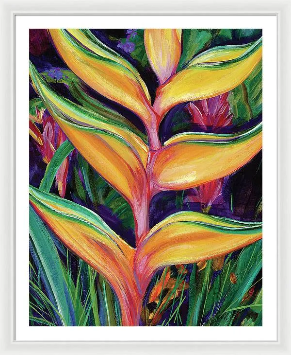"Heliconia"  Tropical Flower - Framed Print