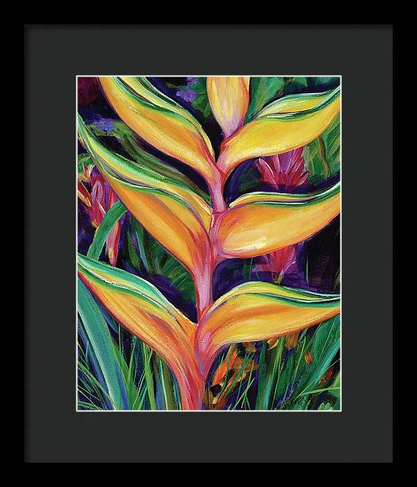 "Heliconia"  Tropical Flower - Framed Print