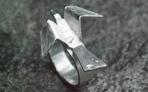 The Raven Ring