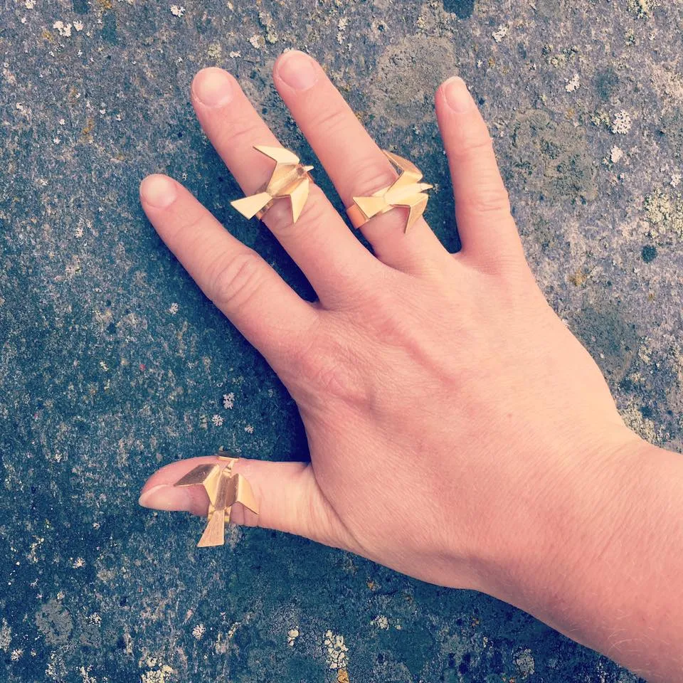 The Raven Ring