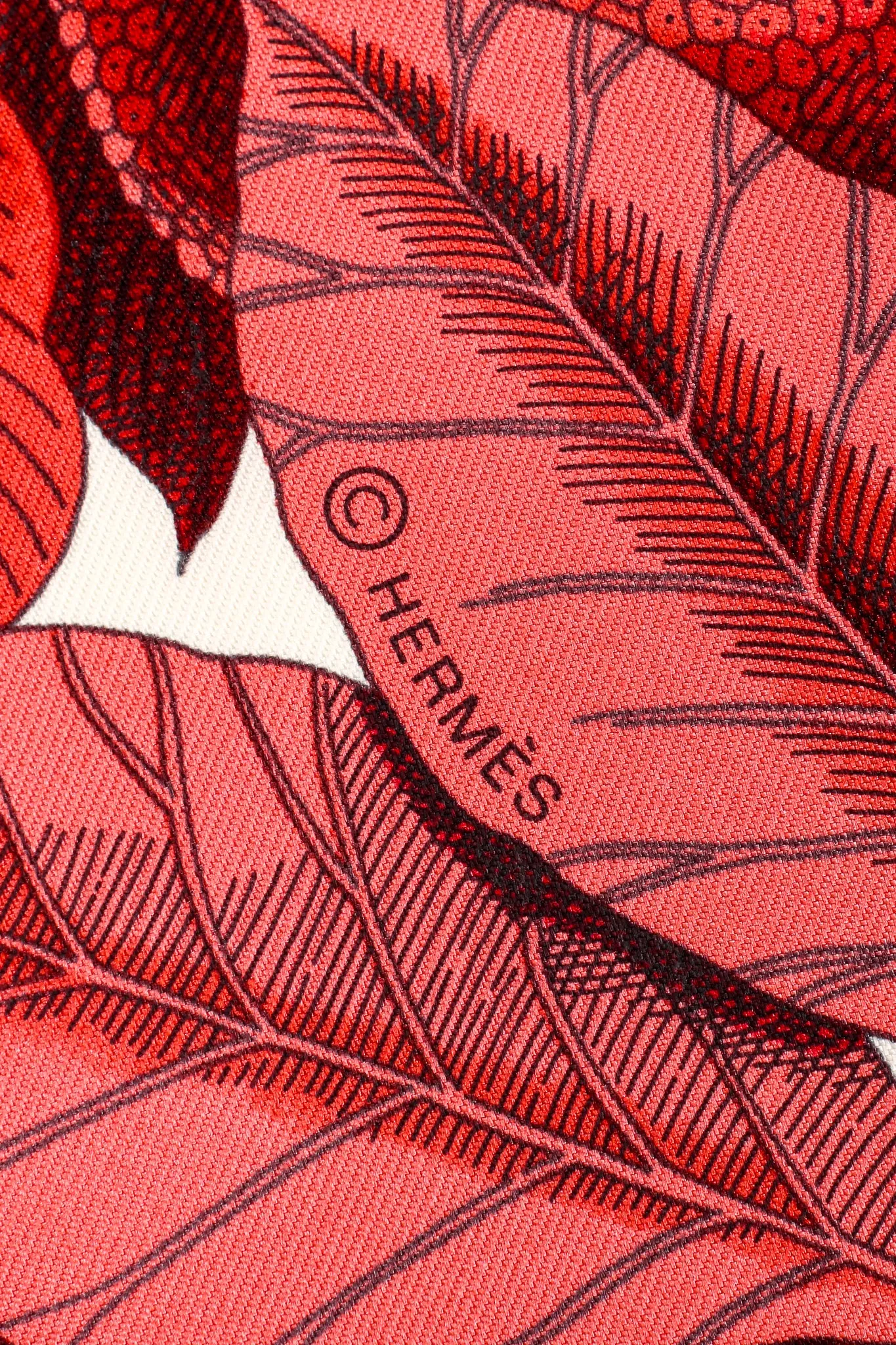 Tous Les Bateaux Du Monde Scarf