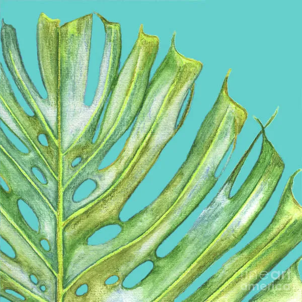 Tropical Monstera Leaf - Archival Print