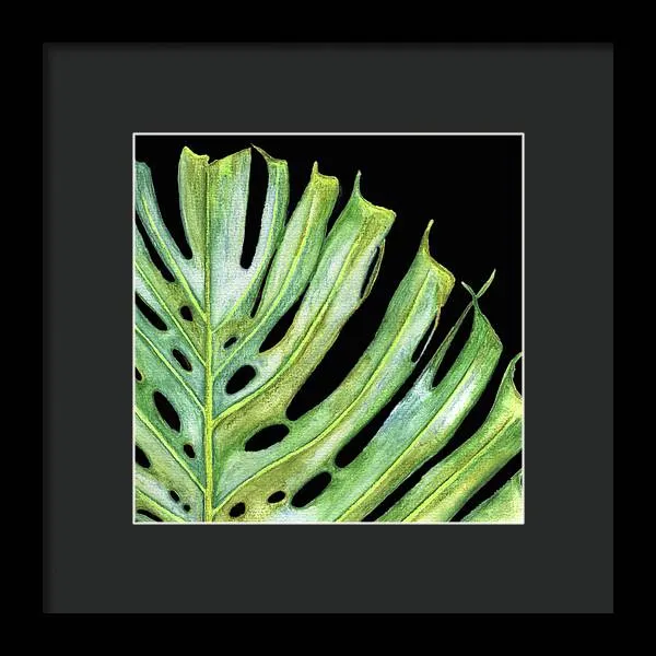 Tropical Monstera Leaf WIth Black Background - Framed Print