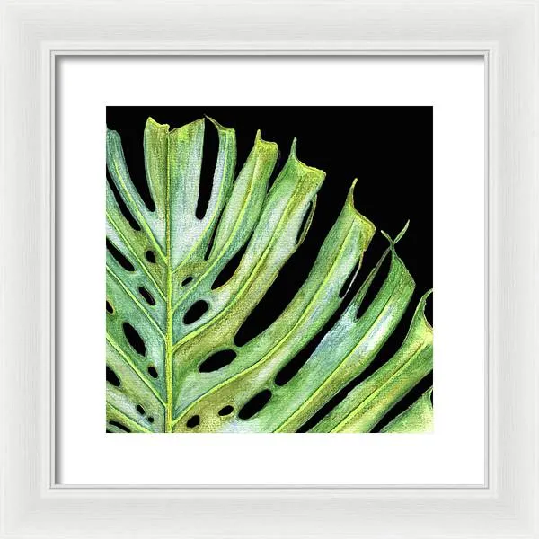 Tropical Monstera Leaf WIth Black Background - Framed Print