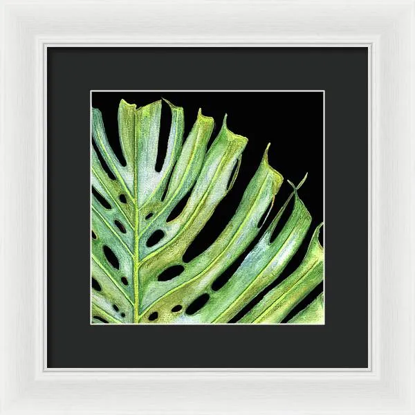 Tropical Monstera Leaf WIth Black Background - Framed Print