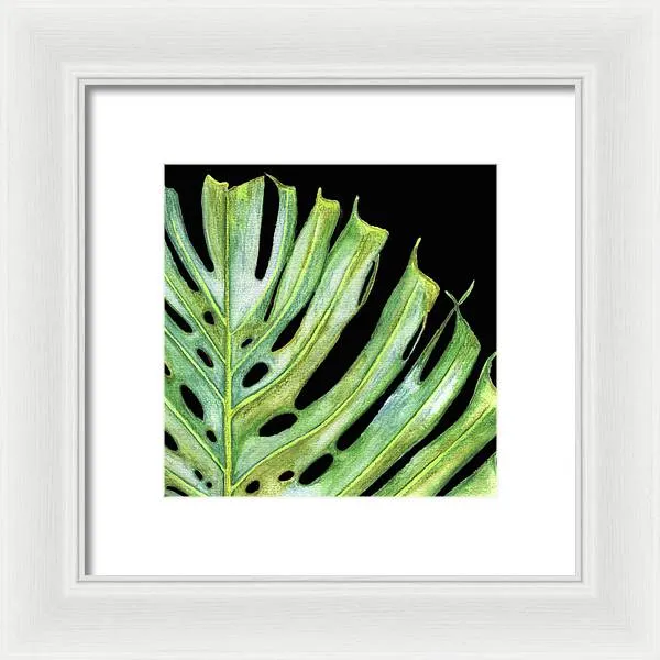 Tropical Monstera Leaf WIth Black Background - Framed Print