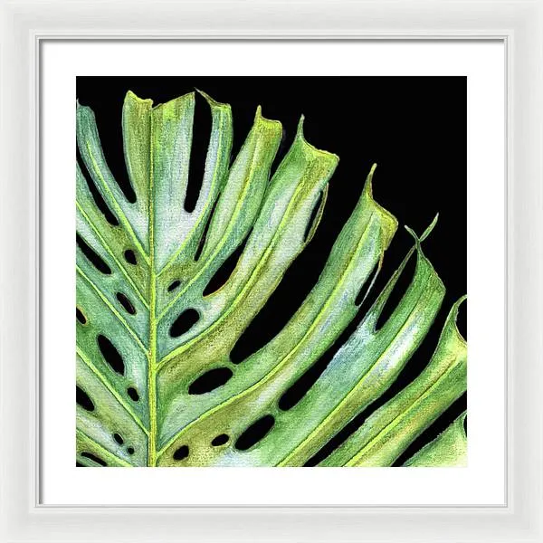 Tropical Monstera Leaf WIth Black Background - Framed Print