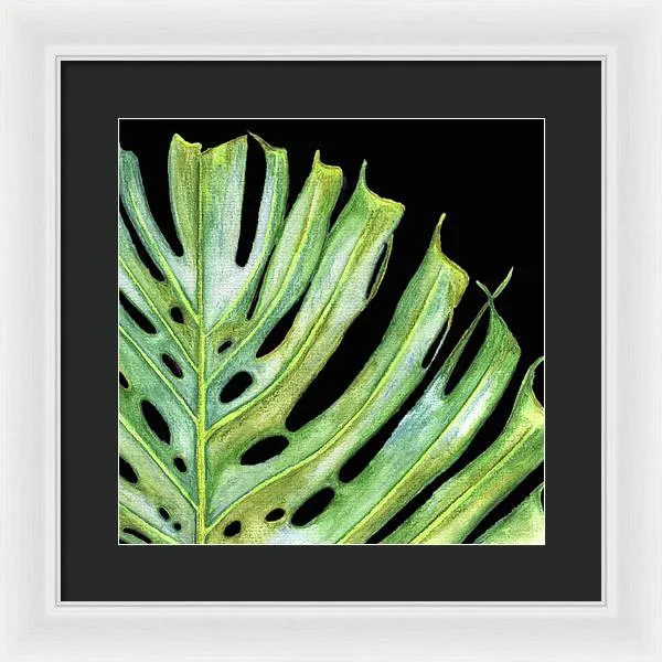 Tropical Monstera Leaf WIth Black Background - Framed Print
