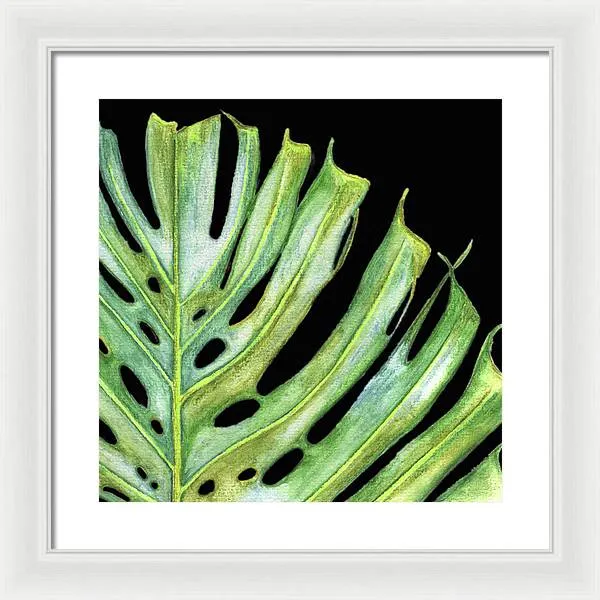 Tropical Monstera Leaf WIth Black Background - Framed Print
