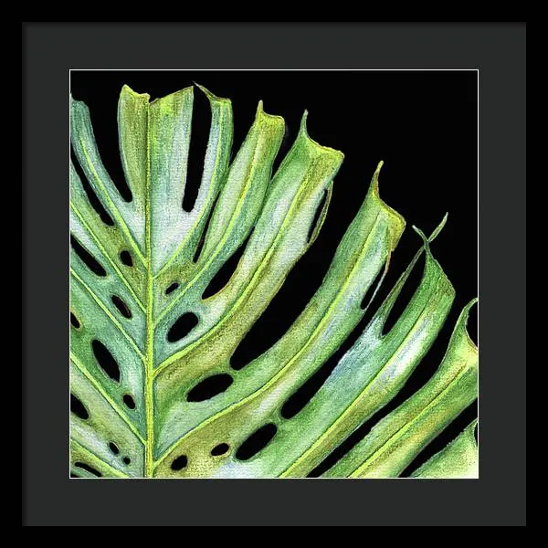 Tropical Monstera Leaf WIth Black Background - Framed Print