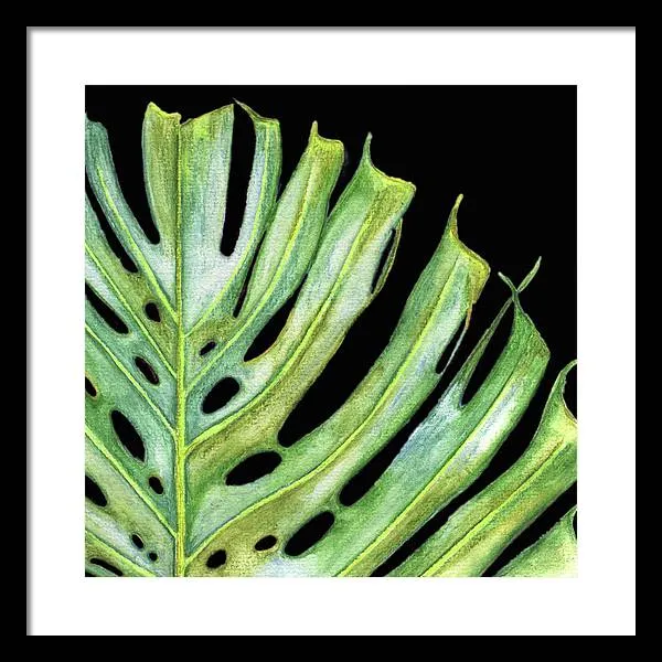 Tropical Monstera Leaf WIth Black Background - Framed Print