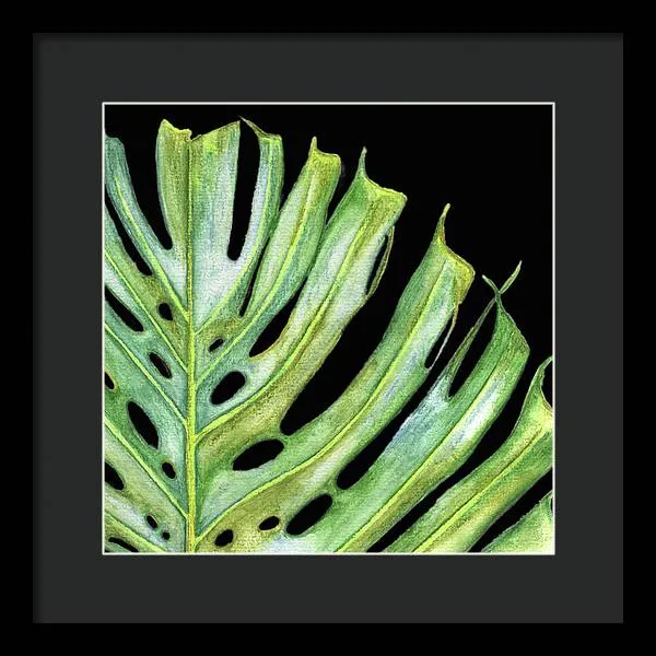 Tropical Monstera Leaf WIth Black Background - Framed Print