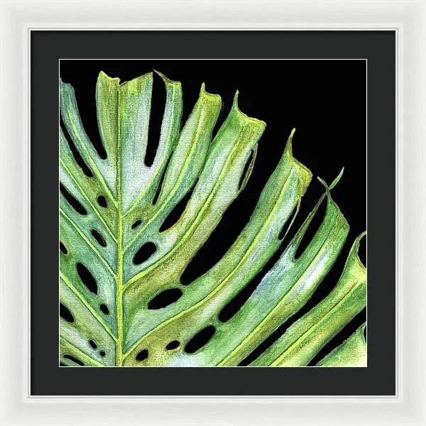 Tropical Monstera Leaf WIth Black Background - Framed Print