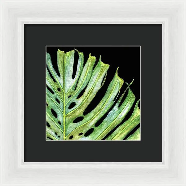 Tropical Monstera Leaf WIth Black Background - Framed Print