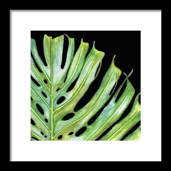 Tropical Monstera Leaf WIth Black Background - Framed Print