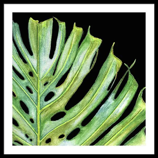 Tropical Monstera Leaf WIth Black Background - Framed Print