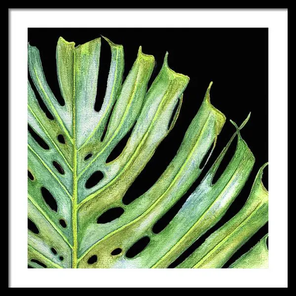 Tropical Monstera Leaf WIth Black Background - Framed Print