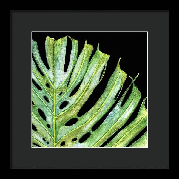 Tropical Monstera Leaf WIth Black Background - Framed Print