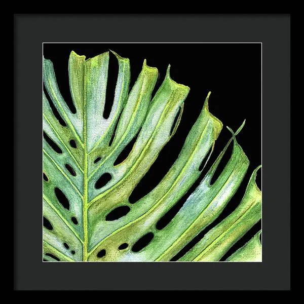 Tropical Monstera Leaf WIth Black Background - Framed Print