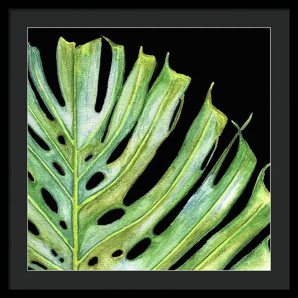 Tropical Monstera Leaf WIth Black Background - Framed Print