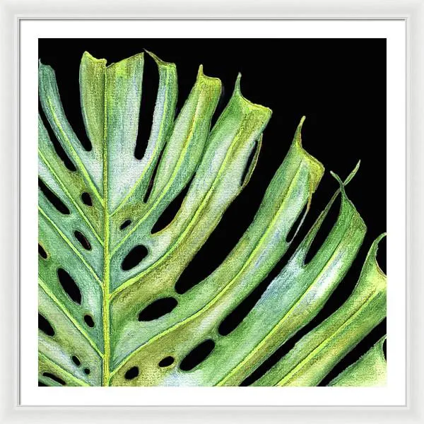 Tropical Monstera Leaf WIth Black Background - Framed Print