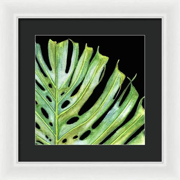 Tropical Monstera Leaf WIth Black Background - Framed Print