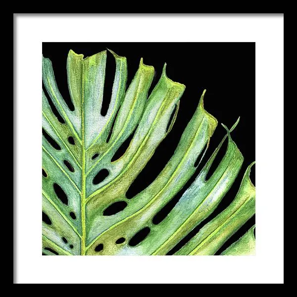 Tropical Monstera Leaf WIth Black Background - Framed Print