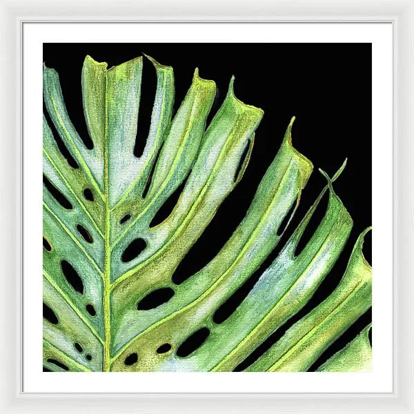 Tropical Monstera Leaf WIth Black Background - Framed Print