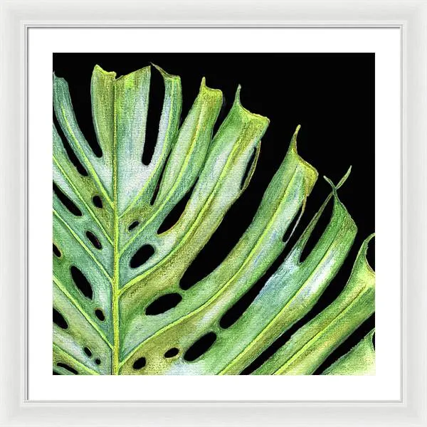 Tropical Monstera Leaf WIth Black Background - Framed Print