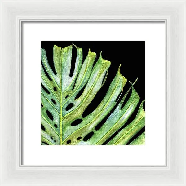 Tropical Monstera Leaf WIth Black Background - Framed Print