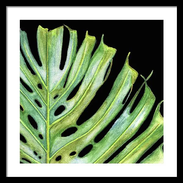 Tropical Monstera Leaf WIth Black Background - Framed Print