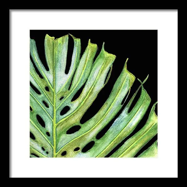 Tropical Monstera Leaf WIth Black Background - Framed Print