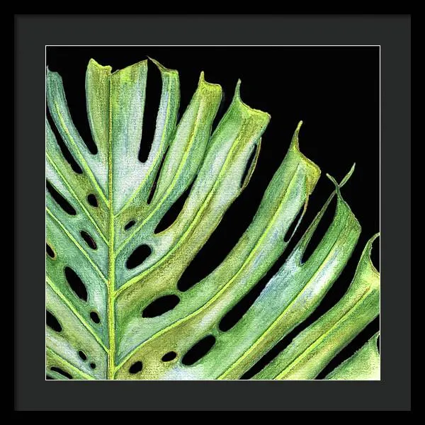 Tropical Monstera Leaf WIth Black Background - Framed Print
