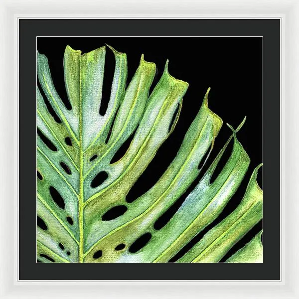 Tropical Monstera Leaf WIth Black Background - Framed Print