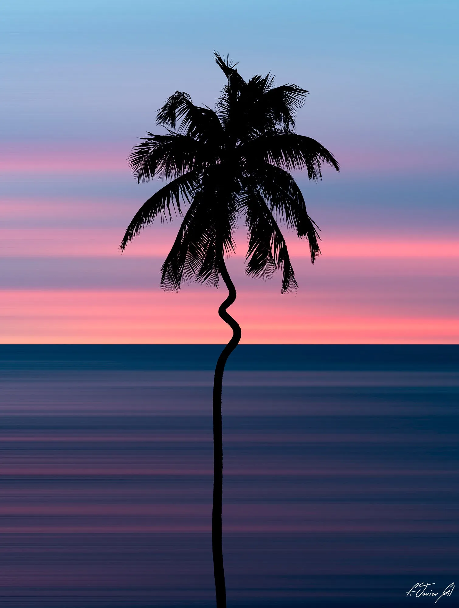 Tropical Twilight