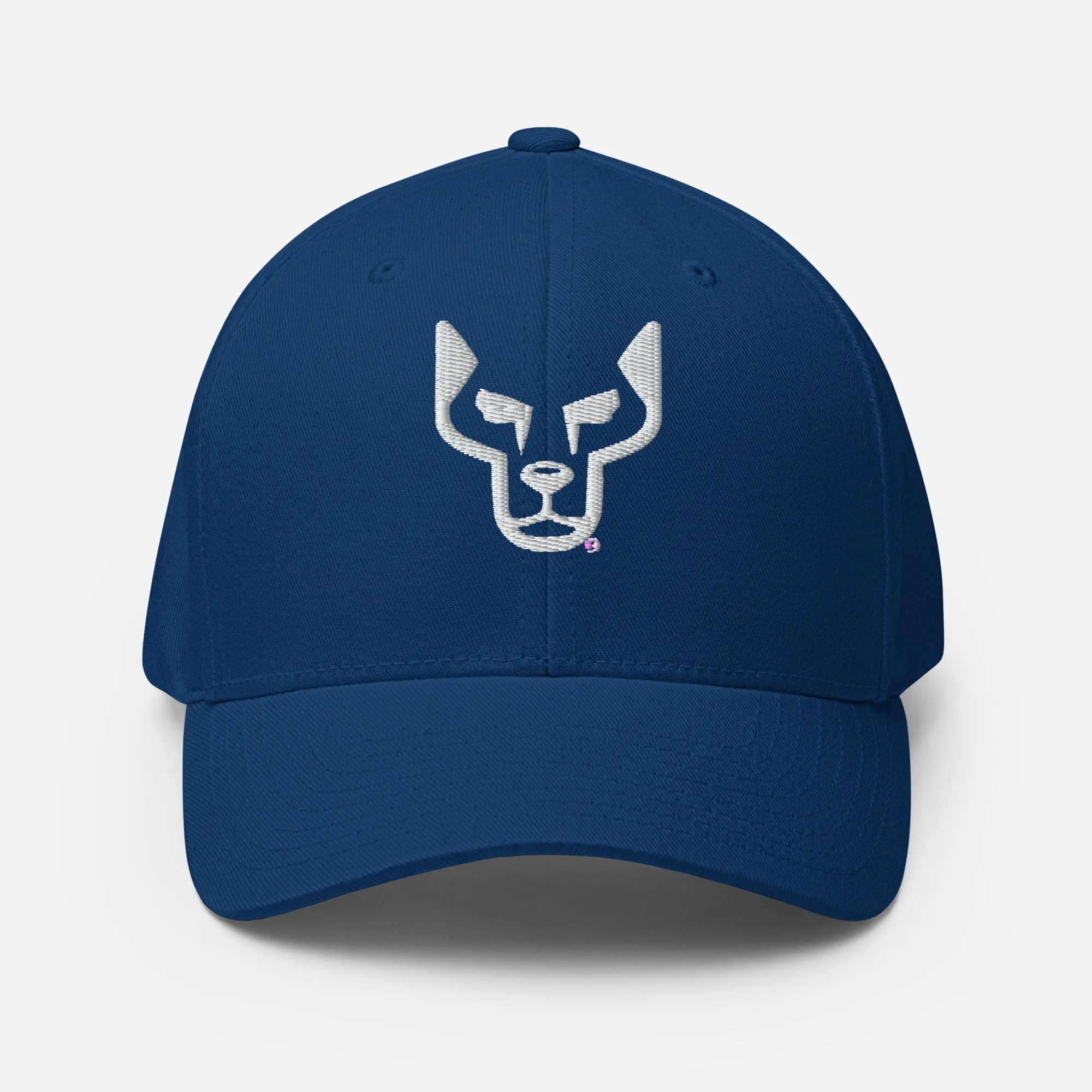 UnderDog Twill Cap