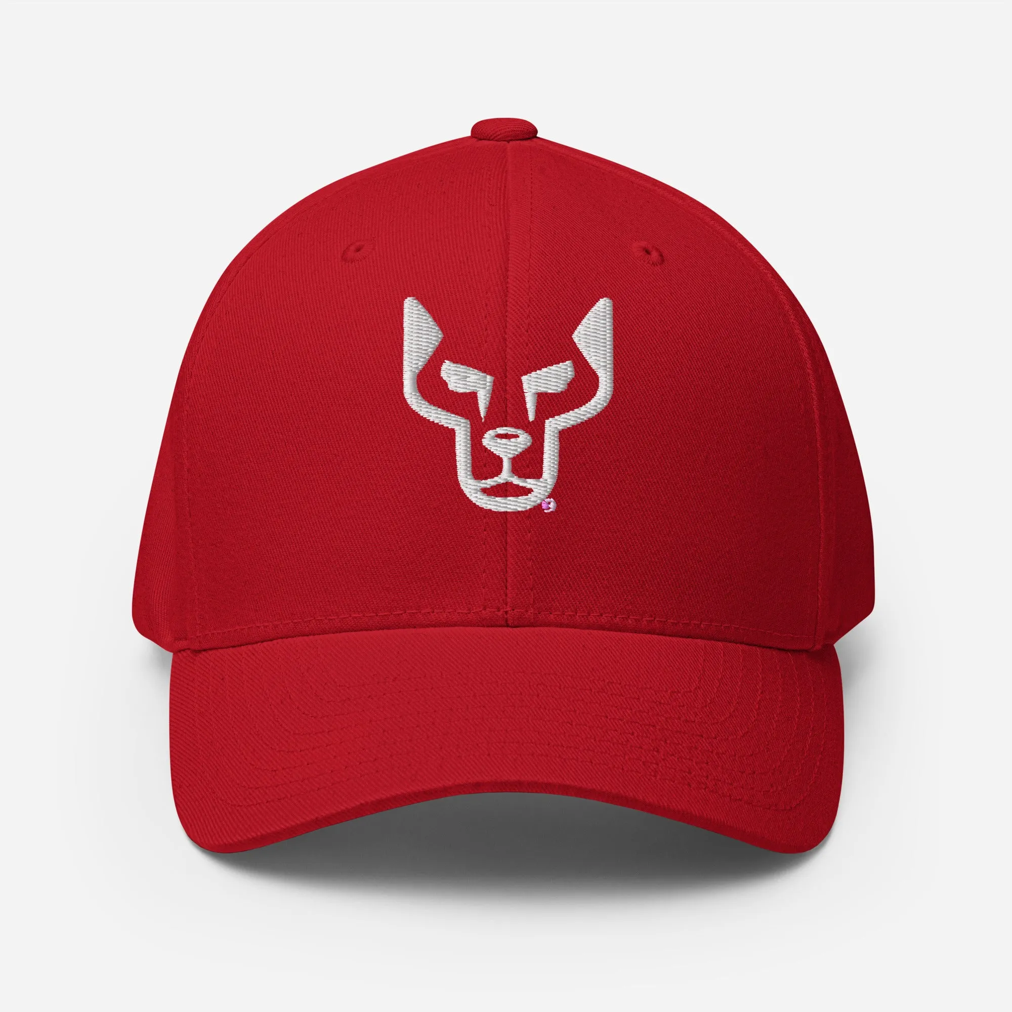 UnderDog Twill Cap