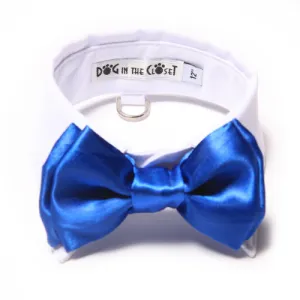 White Shirt Collar   Royal Blue Bow Tie
