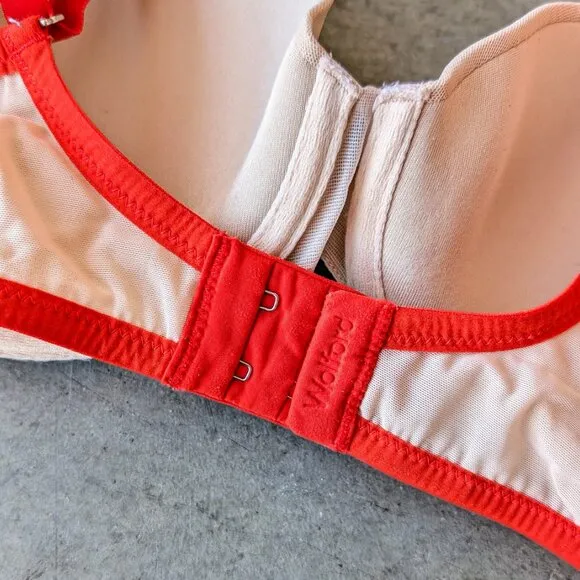 Wolford Sweet Tendril Cup Bra Ivory Red Floral Embroidered Mesh Underwire Bra